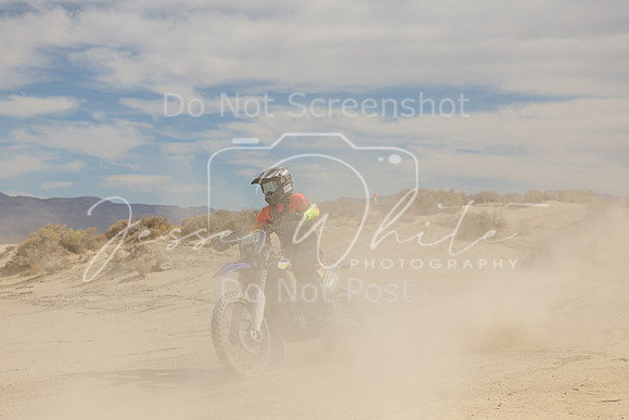 IMG_9020-513v