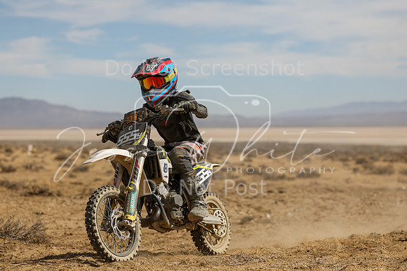 IMG_8144-555y