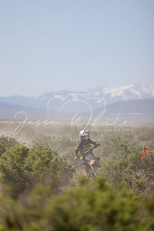 IMG_8272-313y