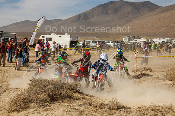 IMG_7910-7e-717e