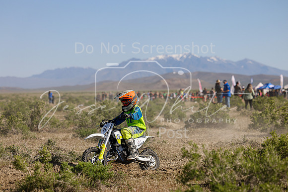 IMG_7851-954