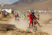IMG_7937-616y