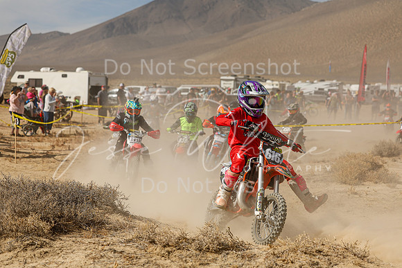IMG_7937-616y