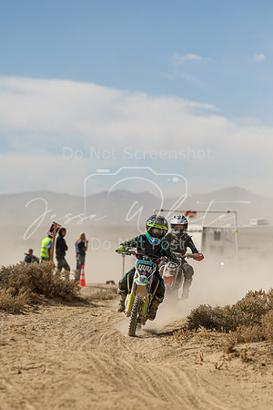 IMG_7996-444y