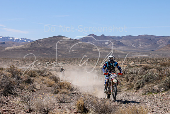 IMG_1393-728n