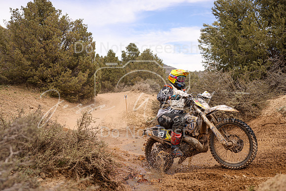 IMG_6184-53