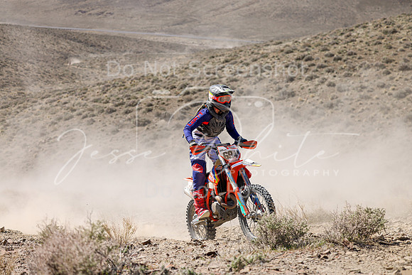 IMG_0557-694n