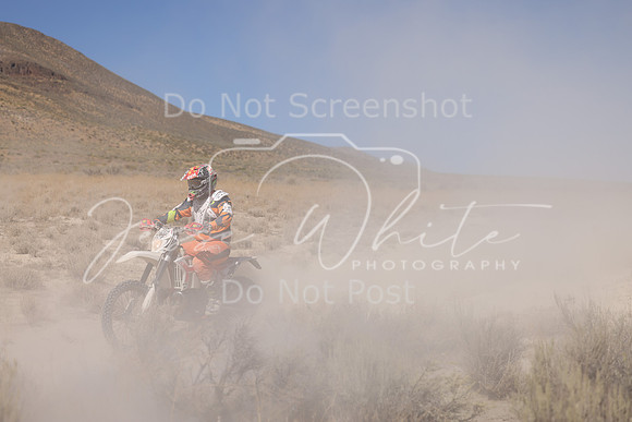 IMG_3869-246n