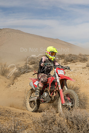 IMG_8767-474v