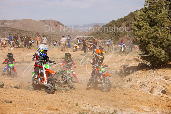 IMG_2130-4-12