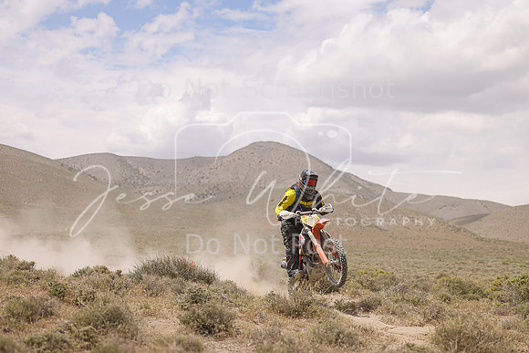 IMG_1287-696m