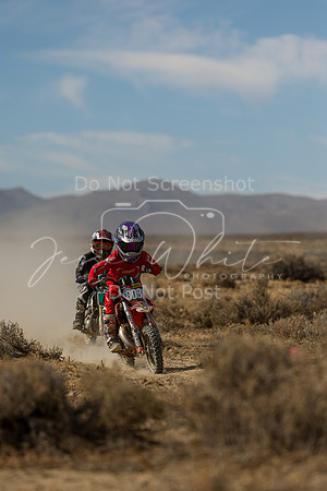 IMG_7796-808z