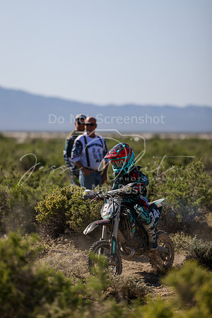 IMG_8282-94y