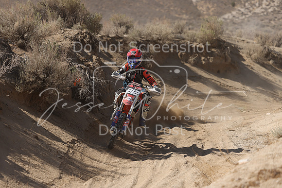 IMG_7012-812j