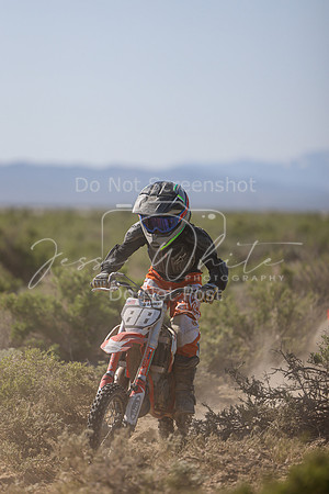 IMG_8244-88