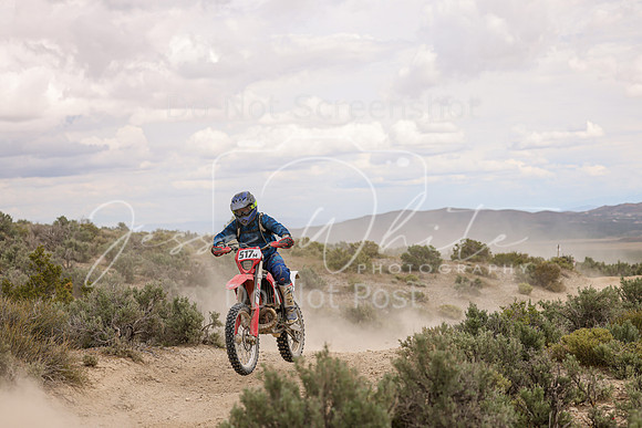 IMG_0690-517m