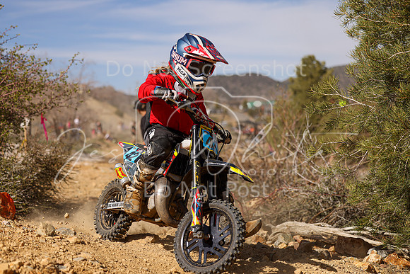 IMG_2183-42