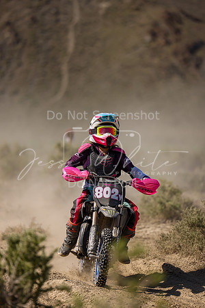 IMG_8102-802y
