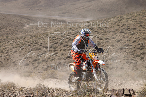 IMG_0788-61c