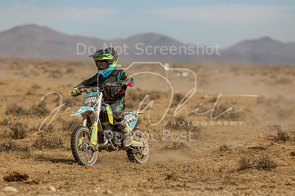 IMG_8187-444y