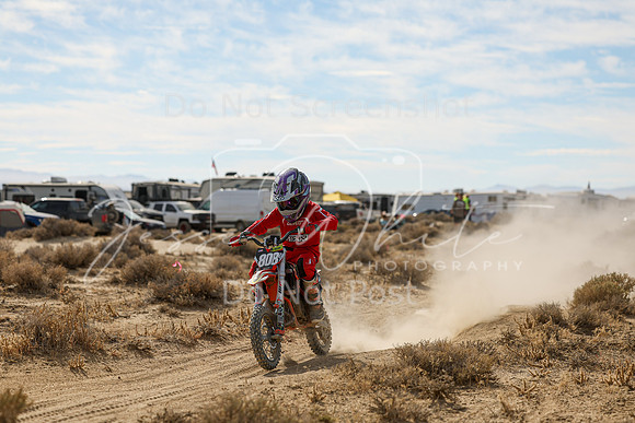 IMG_7872-808z