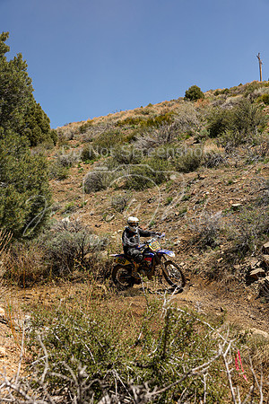 IMG_8568-199