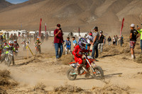 IMG_7581-808z