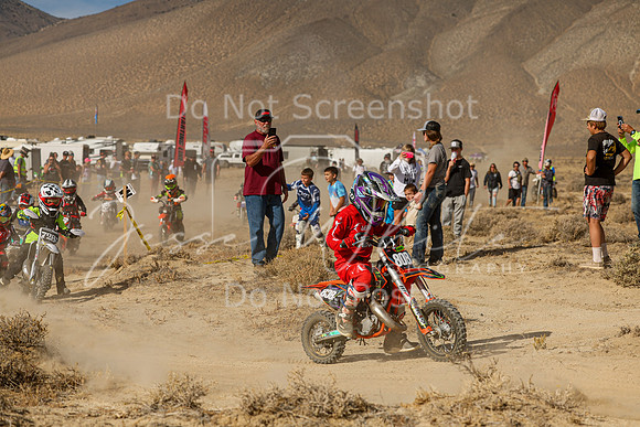 IMG_7581-808z