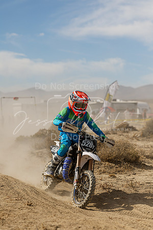 IMG_7993-528y