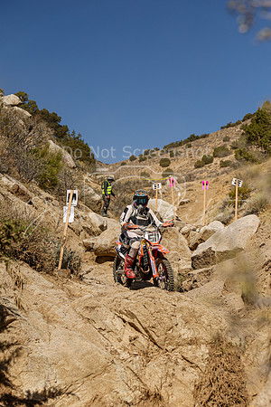IMG_6342-511