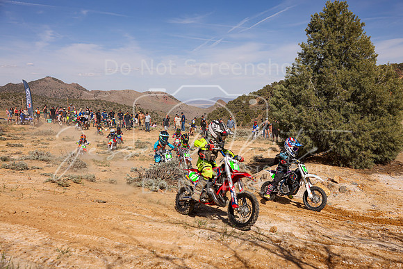 IMG_2123-17-2