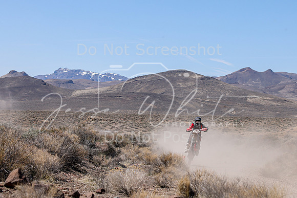 IMG_1174-13p