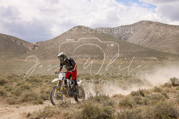 IMG_1354-453p
