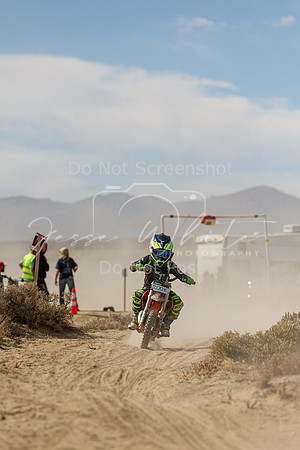 IMG_7984-200e