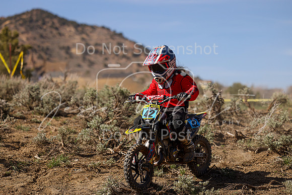 IMG_2236-42