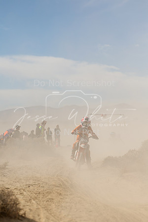IMG_8027-911y