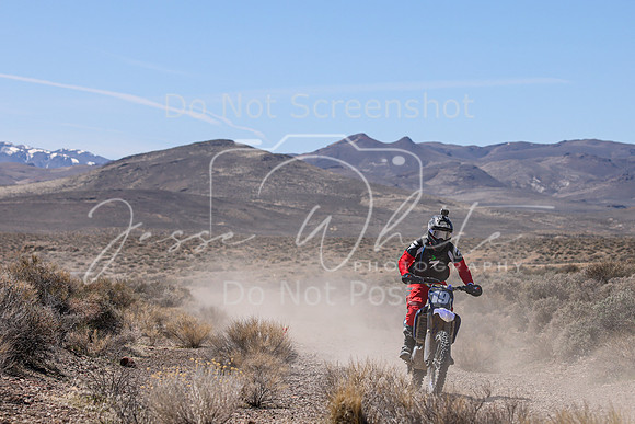IMG_1495-19p