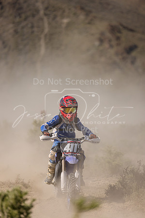 IMG_8124-411y
