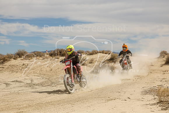 IMG_9038-474v