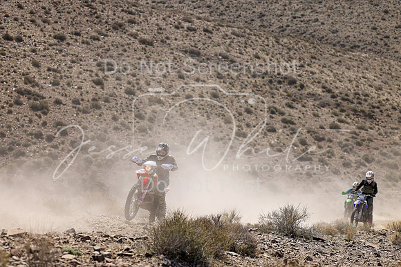 IMG_0936-22n