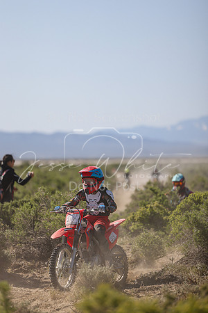 IMG_8311-21y