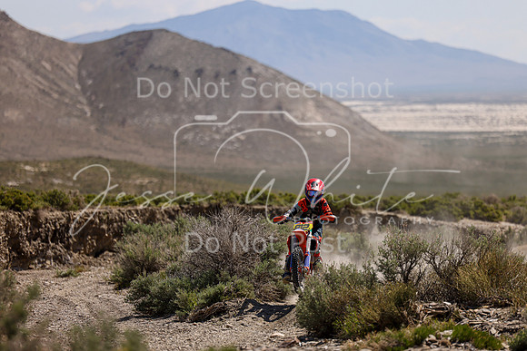 IMG_8779-812j