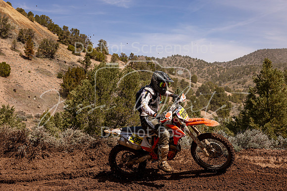 IMG_9475-339