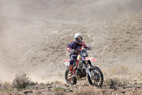 IMG_0743-113n