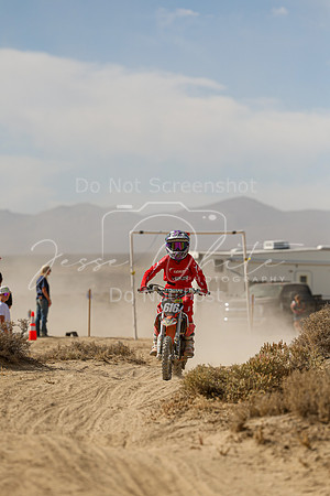 IMG_8006-616y