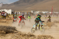 IMG_7934-444y