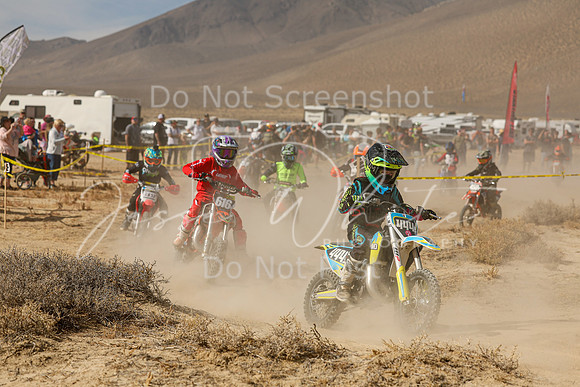 IMG_7934-444y