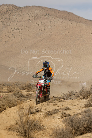 IMG_8853-86j