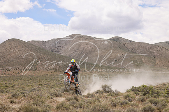 IMG_1312-4m