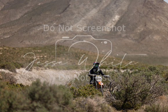 IMG_9130-812v